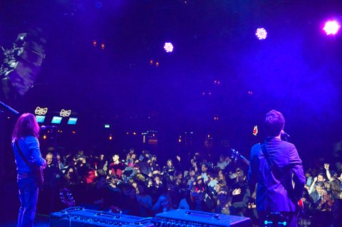 Like The Beatles Perform to large crowds